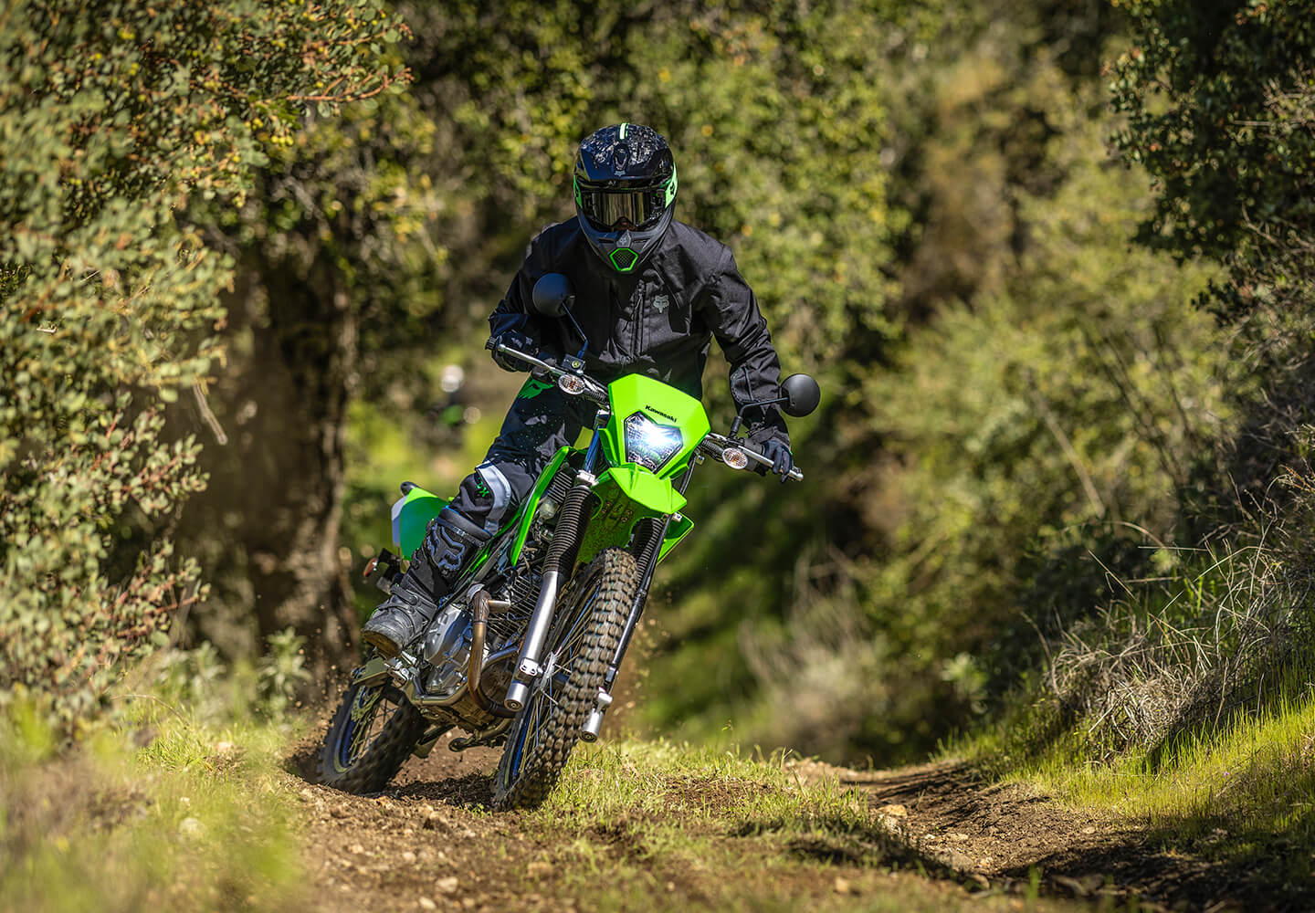 klx 230 se
